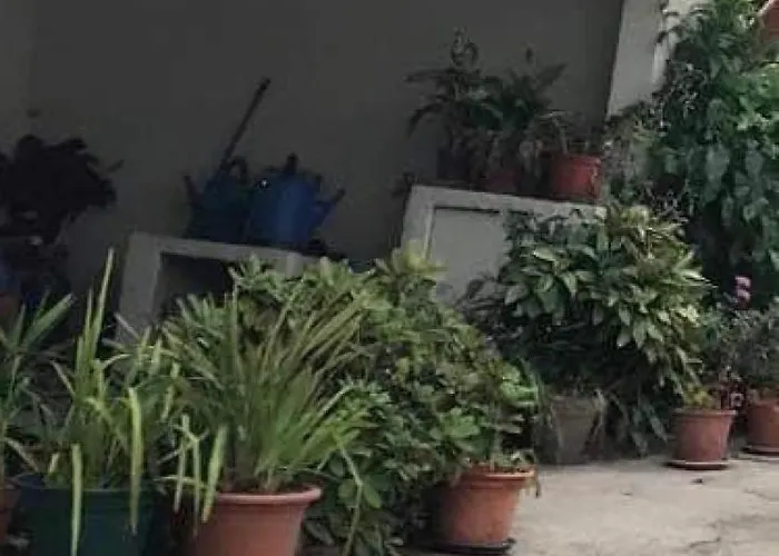 Casa De Campanha Chez Irene * Corticeiro de Cima