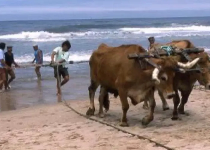 Casa De Campanha Chez Irene Nyaraló