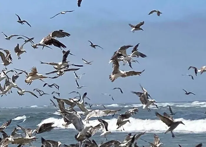 Casa De Campanha Chez Irene Nyaraló Corticeiro de Cima